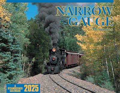 Steamscenes Narrow Gauge 2025